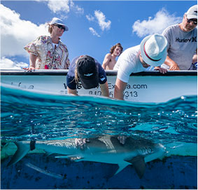 threatened-species-pic-02